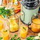 5-Speed 1000W Electric Juicer with Touch Screen